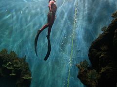-苏州海洋馆