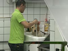 -唐小姐の猫狗洗护·购宠旗舰店(周浦万达店)