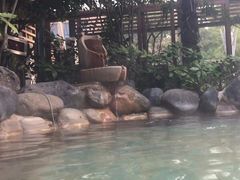 -金凤凰温泉度假村·凤凰汇中餐厅