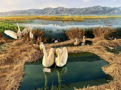 -延庆地质公园博物馆