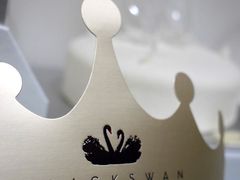 -BLACKSWAN黑天鹅(环球店)