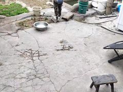 -东方启明星篮球培训(北科大校区)
