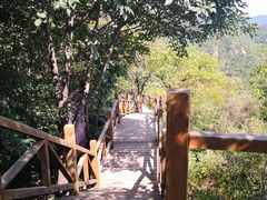 -大岭沟猕猴桃谷风景区