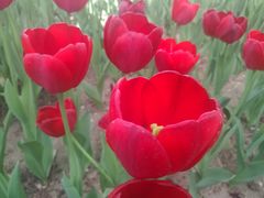 -长春公园(普阳街道)