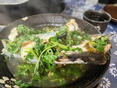 -马村鱼头