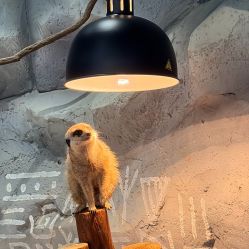 -Zoolung Zoolung动物主题公园(海信广场店)