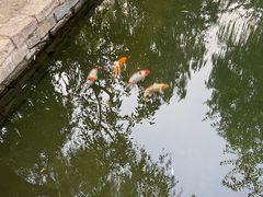 -春风习习