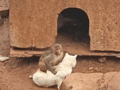 -昆明动物园