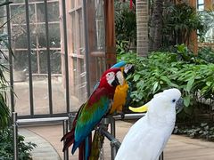 -南宫五洲植物乐园