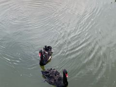 -静之湖度假区