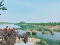 -西青郊野公园