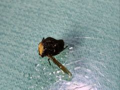 -汉水缘鲜鱼庄(黄雁村店)