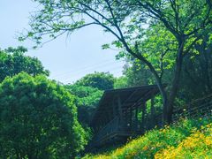 -西湖风景区-江洋畈生态公园