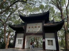 -上海佘山国家森林公园西佘山园