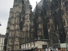 -斯蒂芬主教座堂(Stephansdom)
