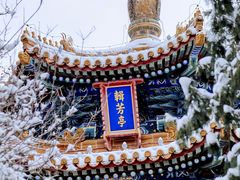 -故宫博物院(故宫)