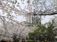 -江南大学(蠡湖校区)