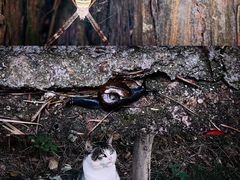 -崂山九水游览区