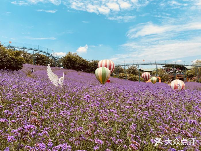 漫花庄园图片