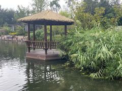 -成飞公园
