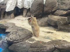 -海合安武汉极地海洋公园