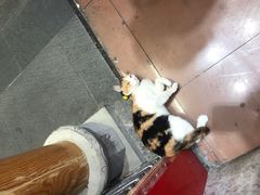 -甜心闲生传统手工冰粉(太古里店)