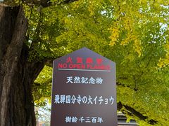 -医王山·飞騨国分寺