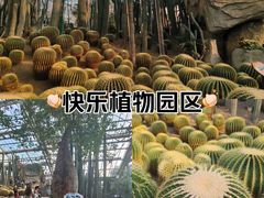 -南山植物园