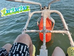 -碧海金沙