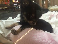 -回転寿司酒場 銀座沼津港