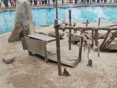 -沈阳森林动物园