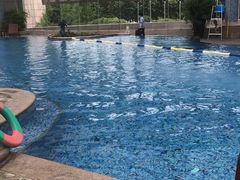 游泳池-杭州君悦酒店-健身房