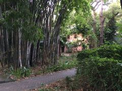 -中山大学学者灵芝(园南路店)