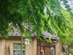 -南靖田螺坑土楼群景区