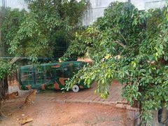 -深圳野生动物园