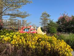 -映月湖公园