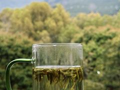 -阿巧茶庄