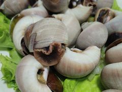 -山海经·海边人家 海鲜新青岛菜(扬州路店)