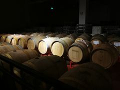 -丹世红酒庄·烧烤·团建·婚礼·水上运动
