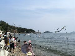 -银沙滩浴场