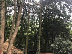 -黄公望隐居地
