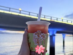 -演武大桥观景平台