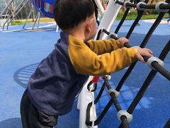 -九龙湖公园