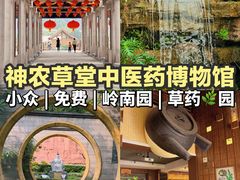 -广州神农草堂中医药博物馆