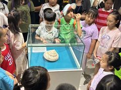 -青岛贝壳博物馆