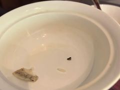 -沈灶河豚宴·河豚融合餐厅(汉中路店)