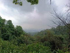 -火炉山森林公园