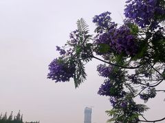 -成都南湖公园