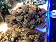 -鑫海汇海鲜烤肉自助(北国商城店)