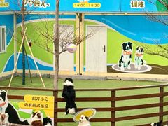 -盈香心动乐园